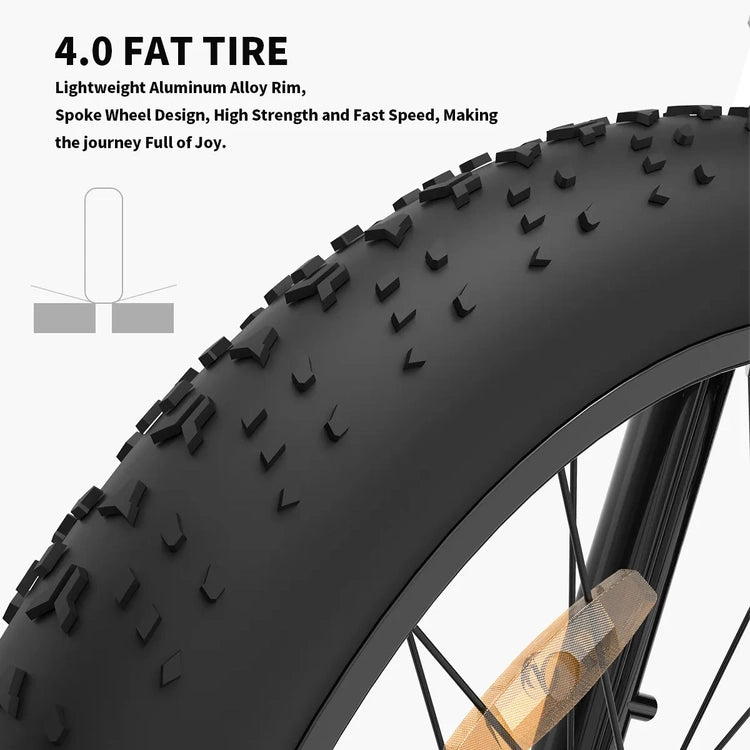 26 In.48V 13Ah 750W Mountain Electric Bikes for Adults Men, 26"x4.0 Fat Tire Electric Bicycle 7 Speeds Gear Outdoor Ebikes, Black, S48