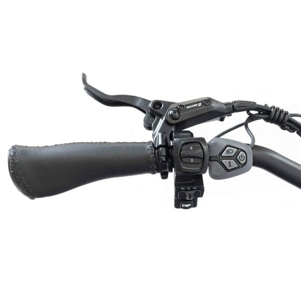 Silverado 20 48V/14AH 750W Foldable Fat Tire Electric Trike, 330LBS (96817362)