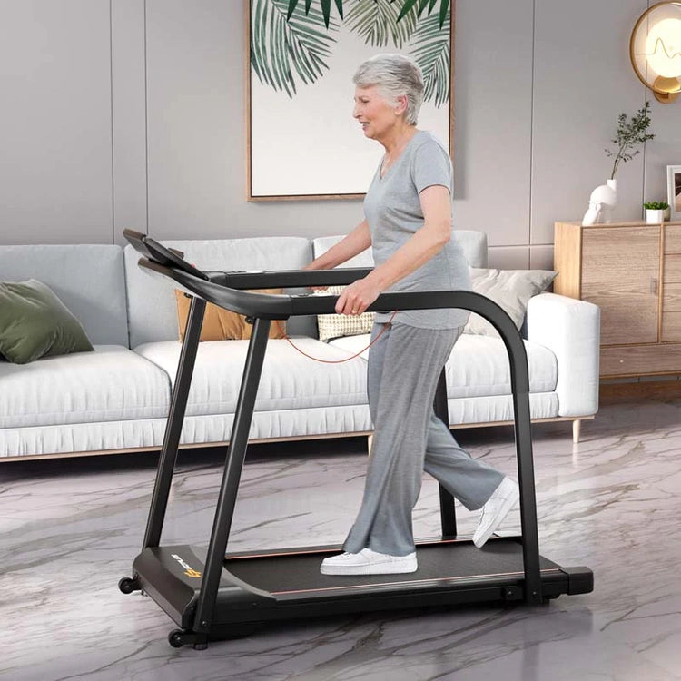 2.5 HP Walking Treadmill for Senior with Long Handrail, 300 Lbs Capacity, Recovery Fitness Exercise Machine for Home with Pulse Sensors